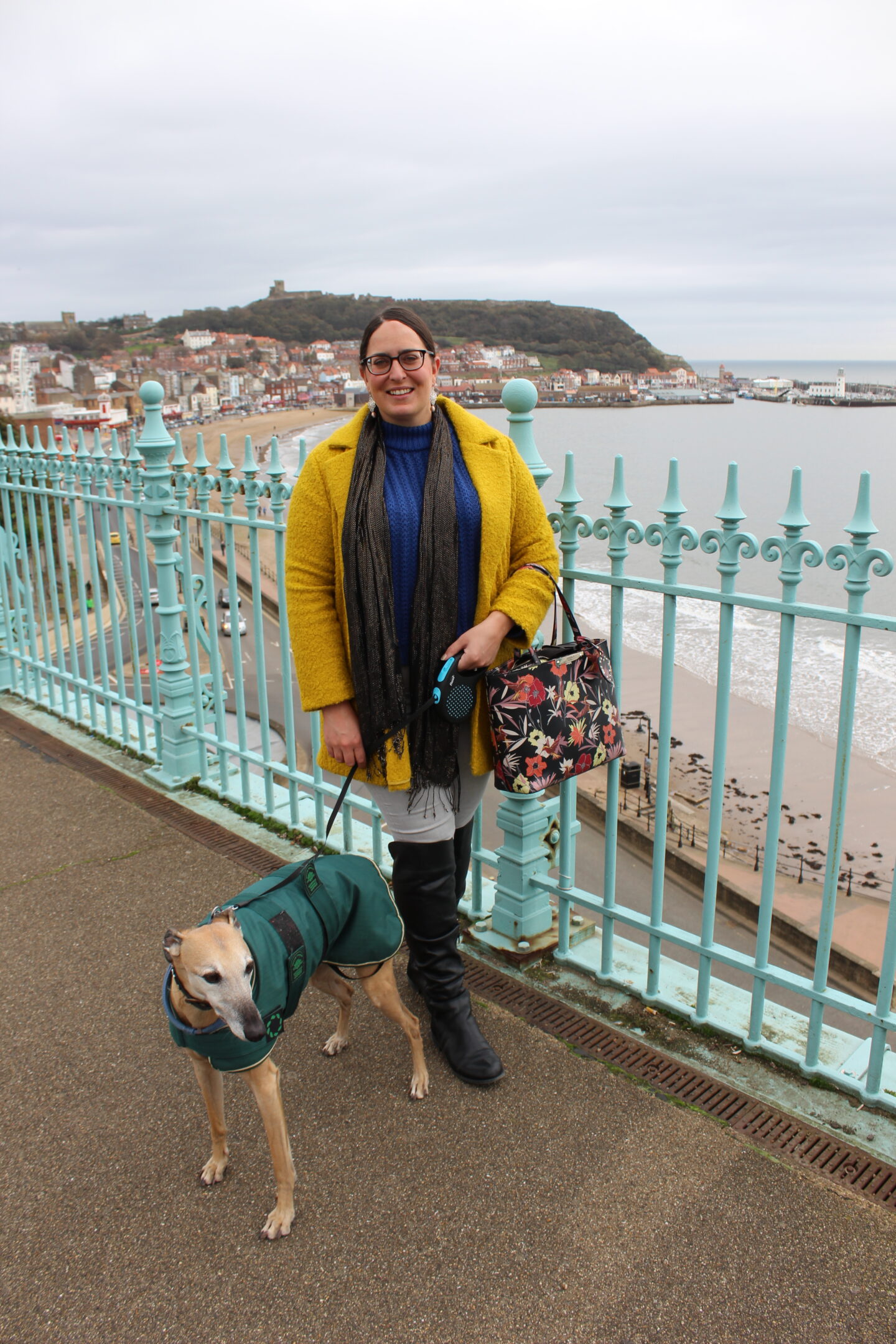 can dogs go on beach at scarborough