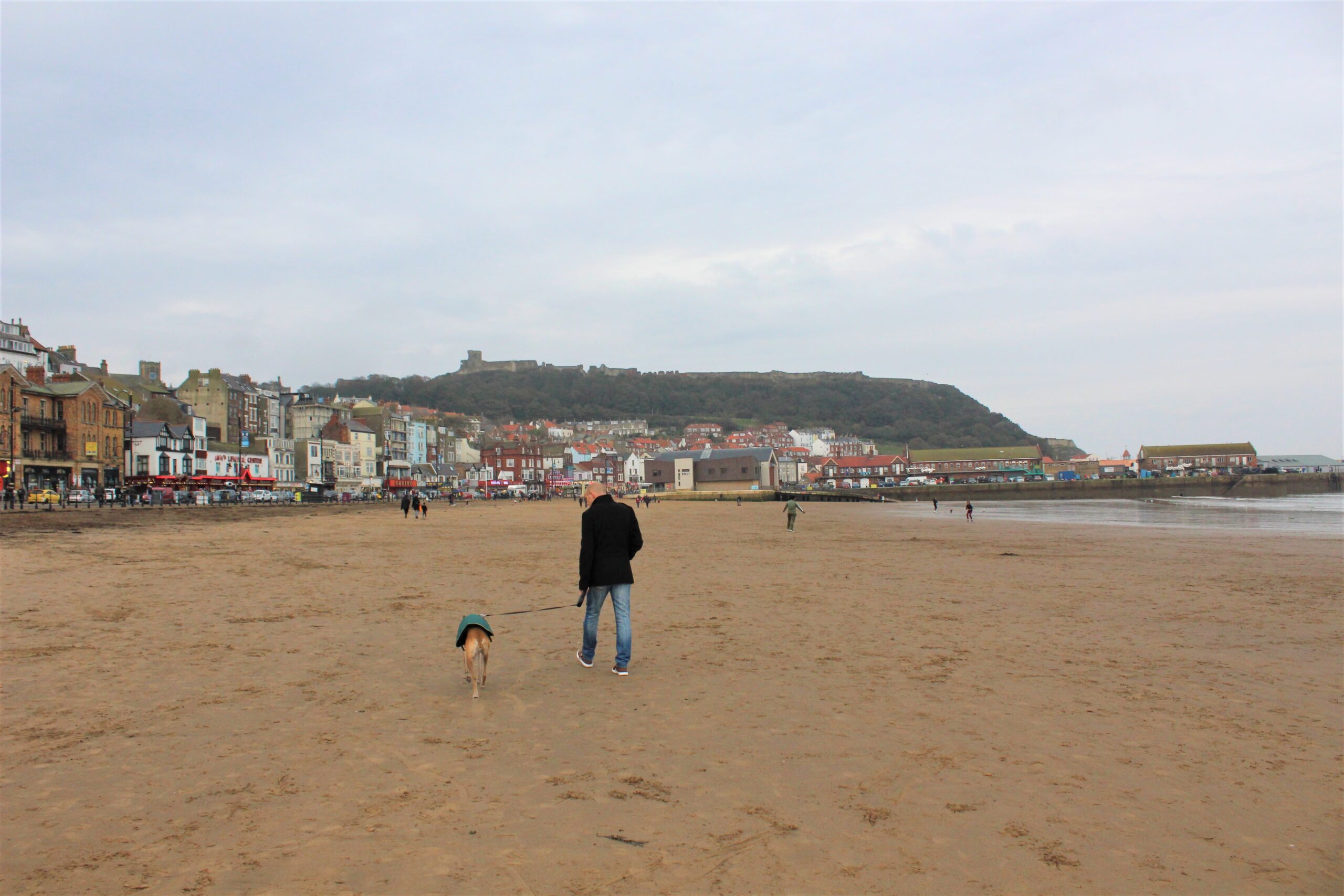 are dogs allowed on scarborough north bay